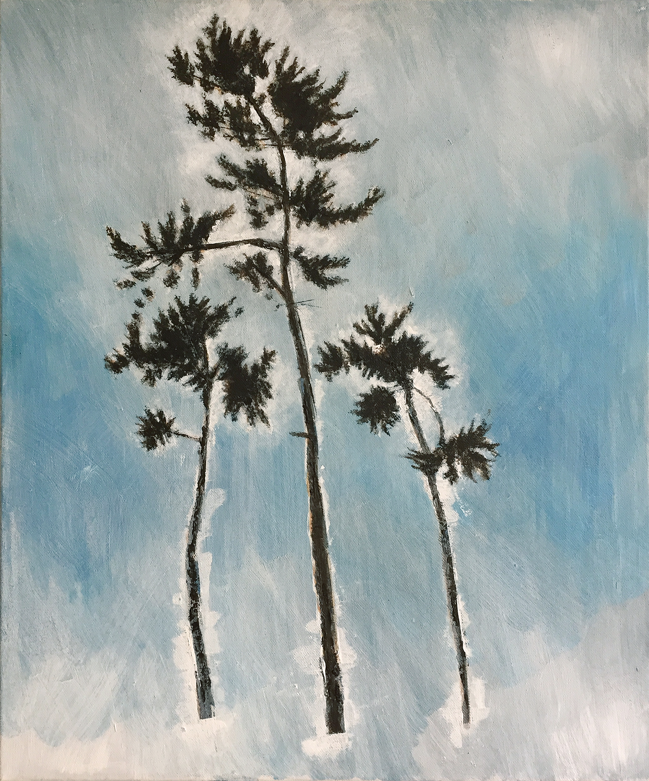 A TREE AND THEN SOME