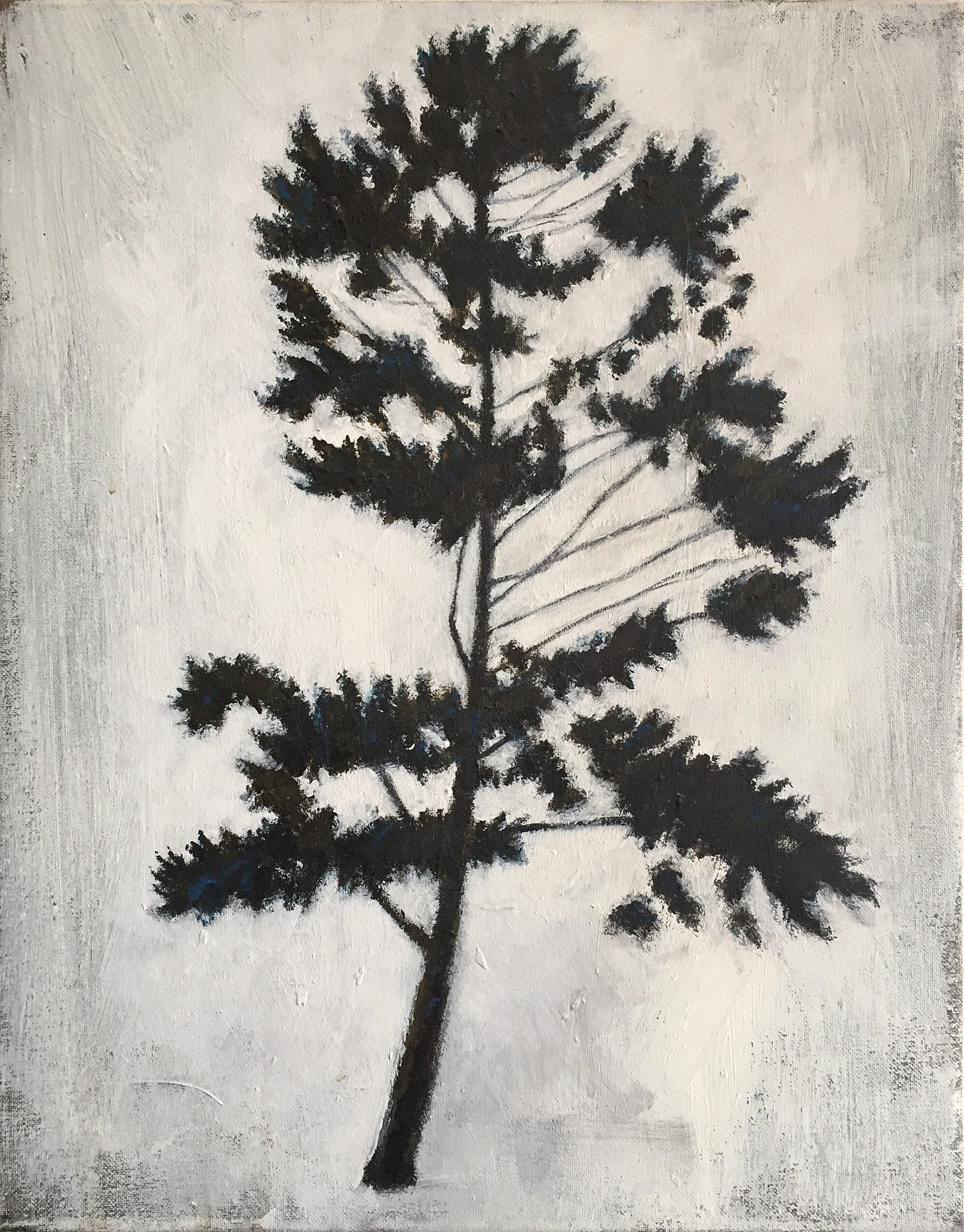 TREE_NR3