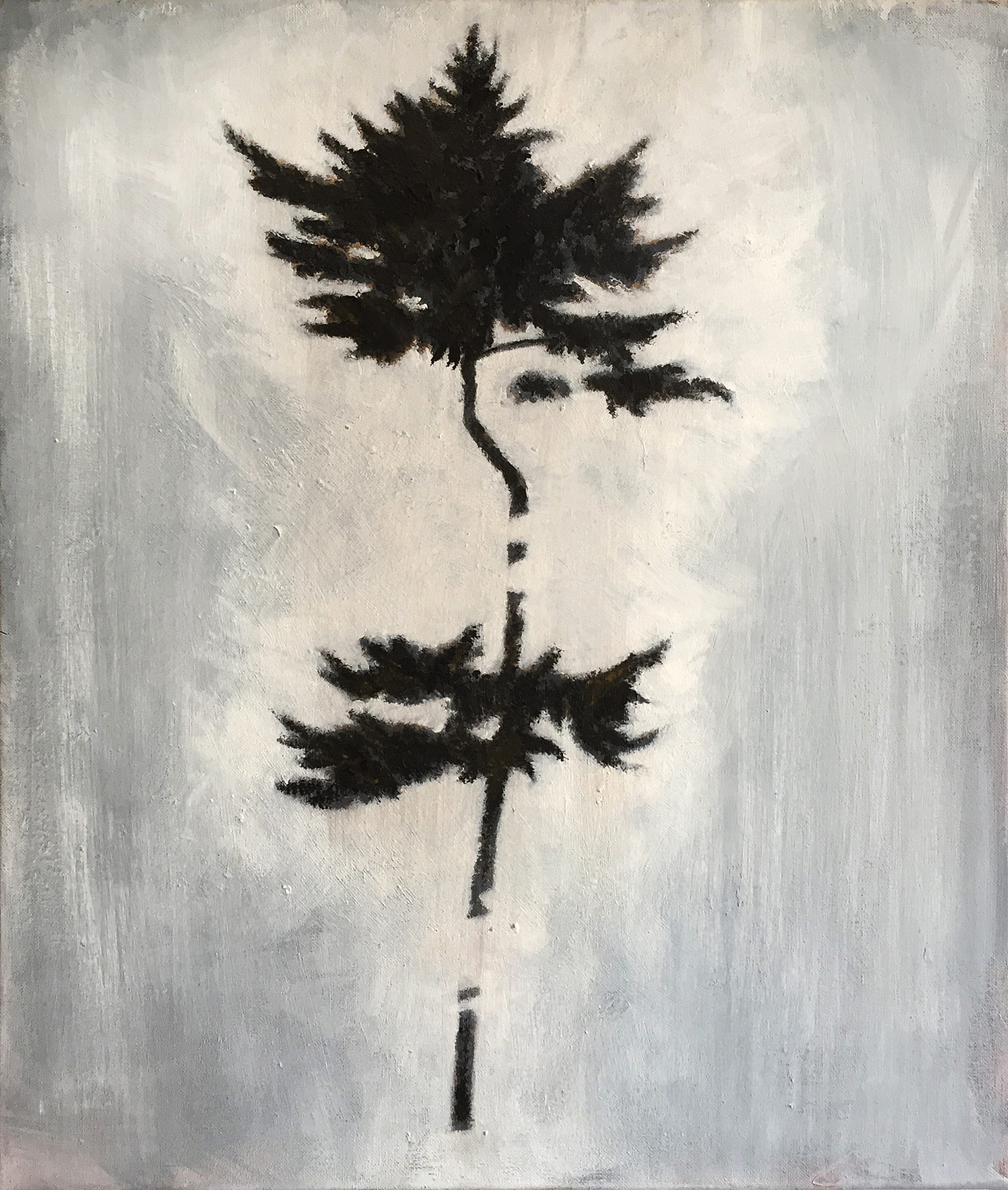TREE_NR5