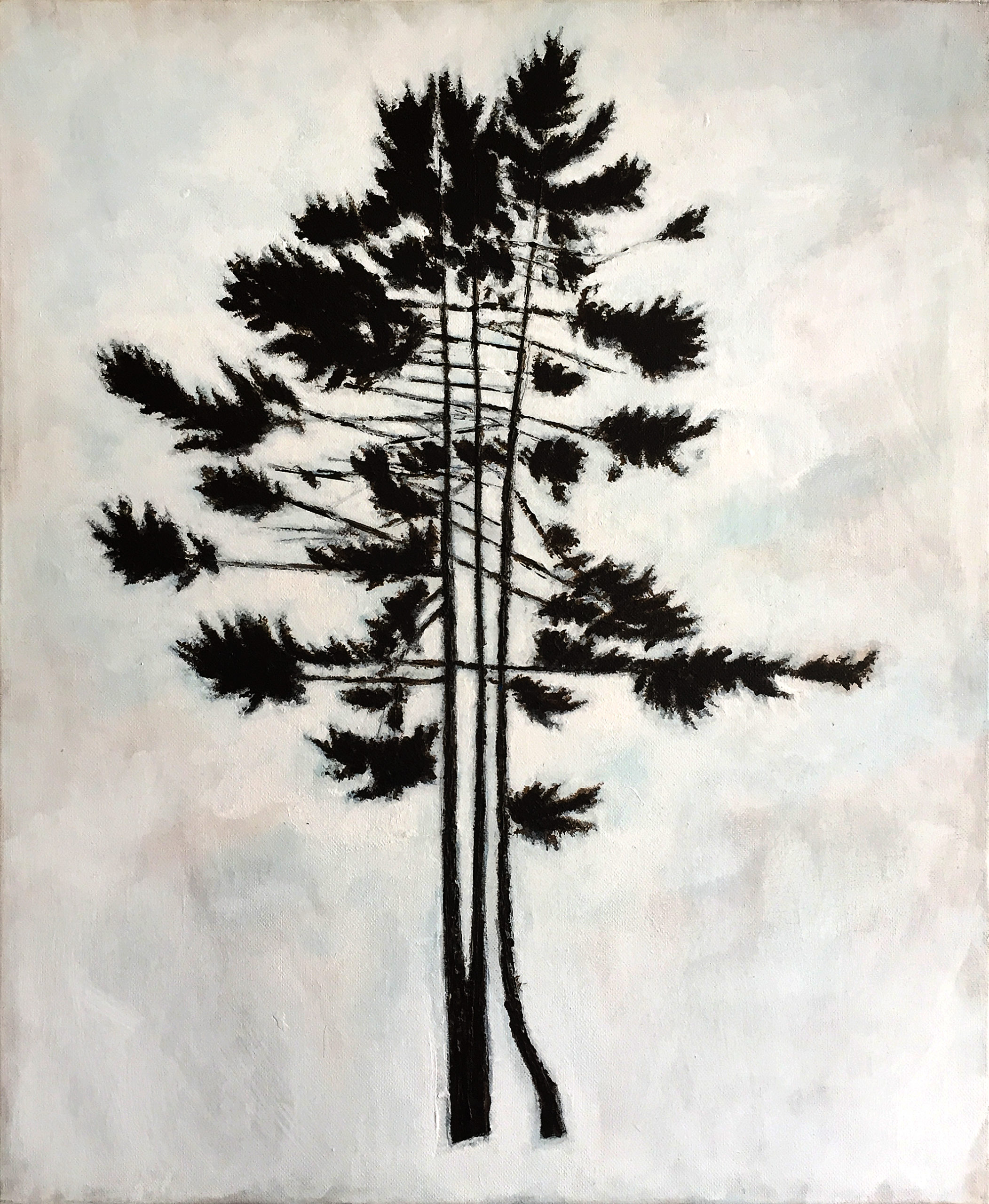 TREE_NR7